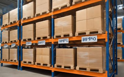 Maximize Safety and Efficiency by Understanding Racking Weight Limits Today